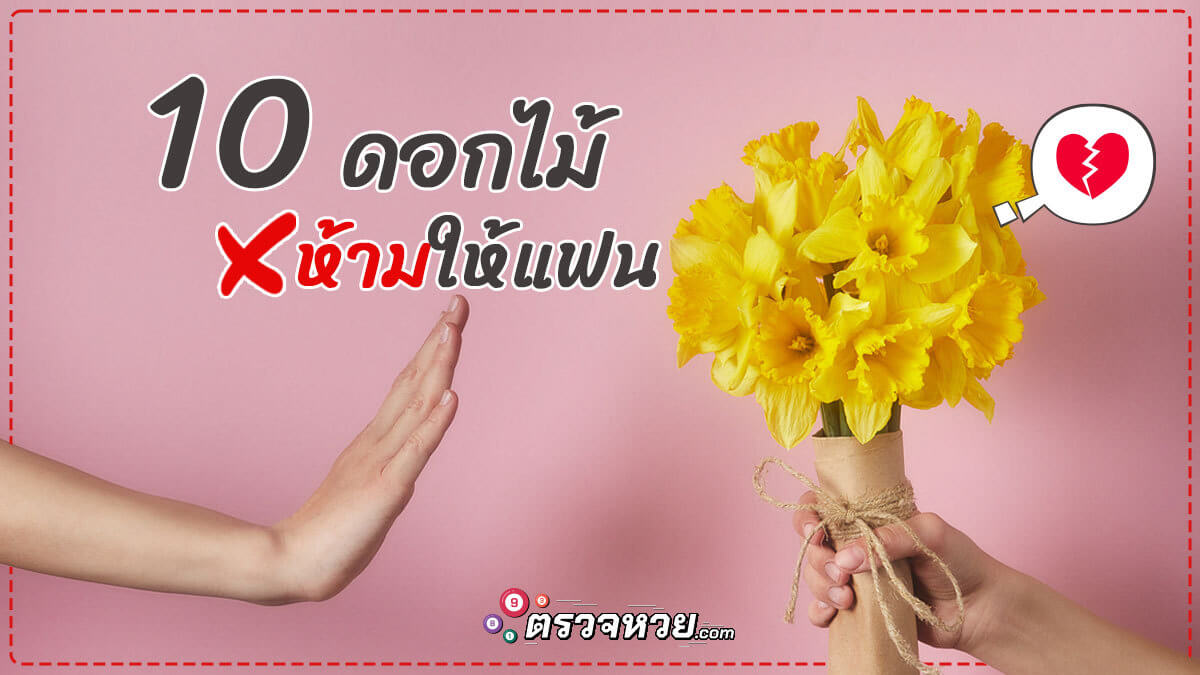 10 ดอกไม้ห้ามให้แฟน วันวาเลนไทน์ สื่อความหมายรักไม่ยั่งยืน