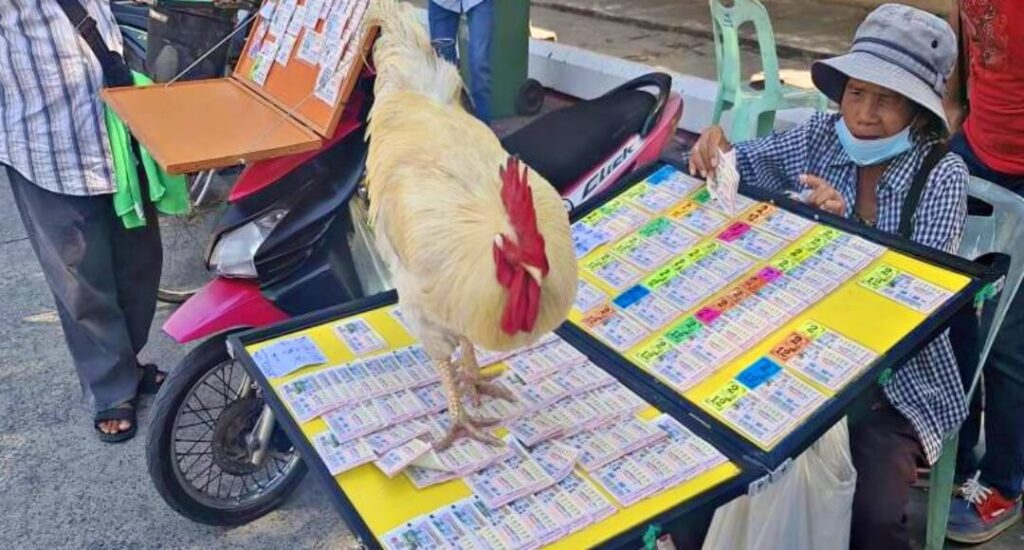 ความเชื่อ ไก่