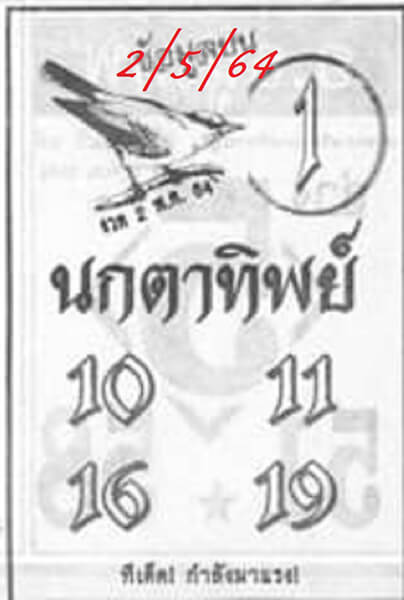 นกตาทิพย์020564